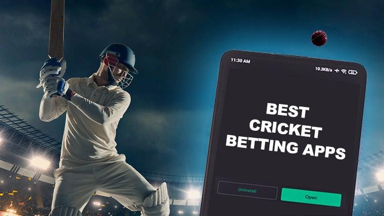 Cricket Betting Instructions for Daman Games